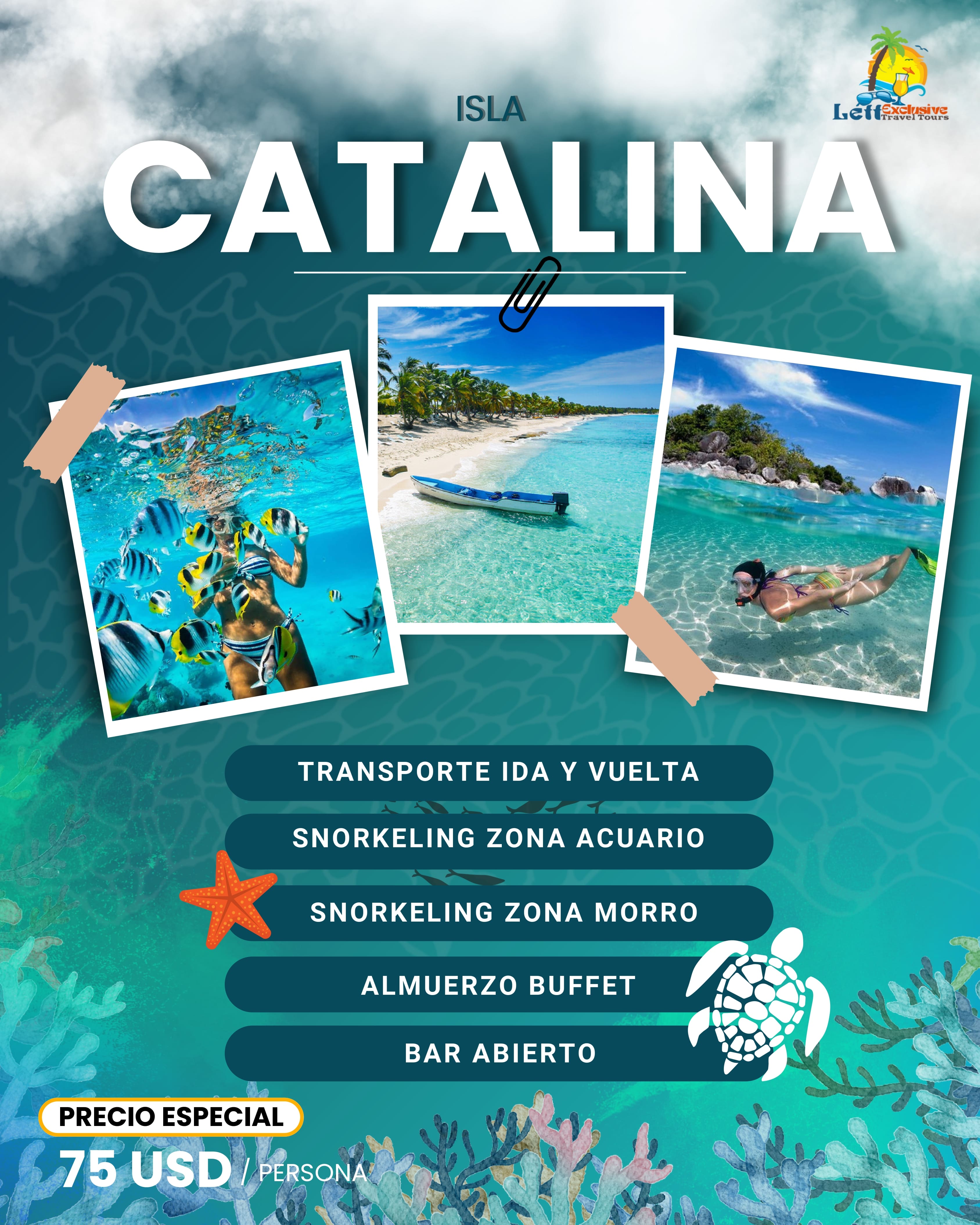 Visita la Isla Catalina